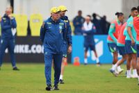 Sembilan bintang Liga Primer Inggris menjadi tulang punggung skuad Timnas Brasil terbaru pilihan Carlo Ancelotti untuk jeda internasional.