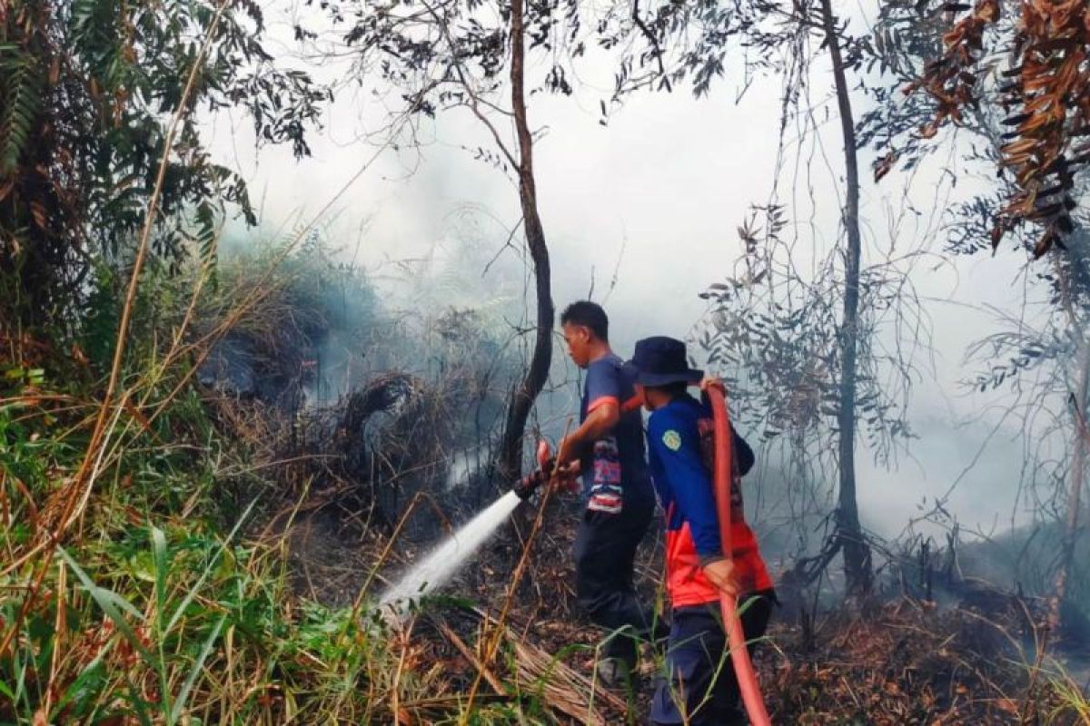 Petugas Badan Penanggulangan Bencana Daerah (BPBD) berupaya memadamkan titik api di kawasan hutan dan lahan di Kalimantan Timur yang rawan Karhutla.