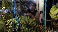 Seorang pedagang pisang menata dagangannya di Pasar Lembang Ciledug, Tangerang, di tengah sepinya pembeli saat bulan Ramadan.