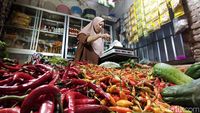 Petani cabai memanen hasil tanamannya di tengah tantangan cuaca ekstrem yang memicu kenaikan harga di pasaran.