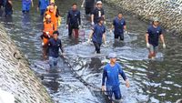 Petugas gabungan sedang mengangkat hasil penangkapan ikan sapu-sapu dalam operasi pembersihan ekosistem perairan di salah satu sungai di Jakarta, sebagai bagian dari upaya pemerintah DKI Jakarta.