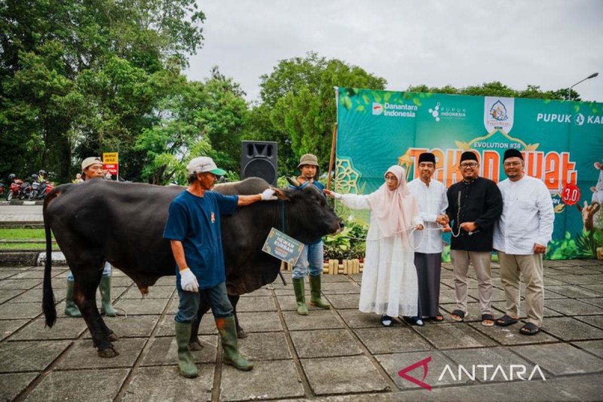 Ribuan paket daging kurban dari PT Pupuk Kalimantan Timur siap didistribusikan kepada penerima manfaat di berbagai wilayah Bontang, menandai perayaan Idul Adha 1447 Hijriah.