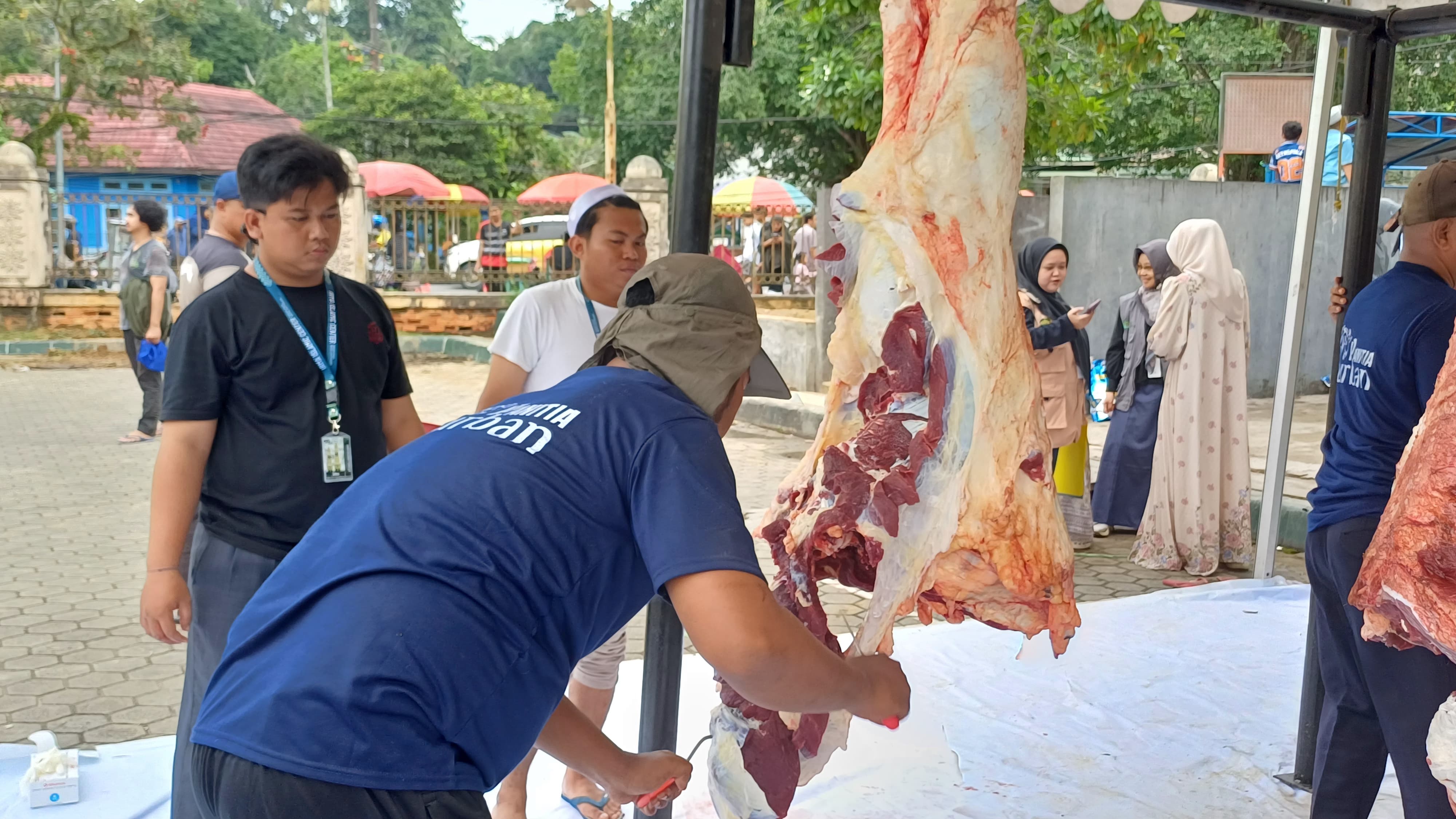 Proses distribusi ribuan kantong daging kurban dari Masjid Raya Islamic Center Kalimantan Timur di Samarinda.