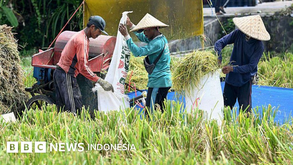Petani di berbagai wilayah Indonesia menghadapi kekeringan parah yang mengancam produksi pangan, diperparah oleh lonjakan biaya operasional akibat pelemahan nilai tukar rupiah terhadap dolar.