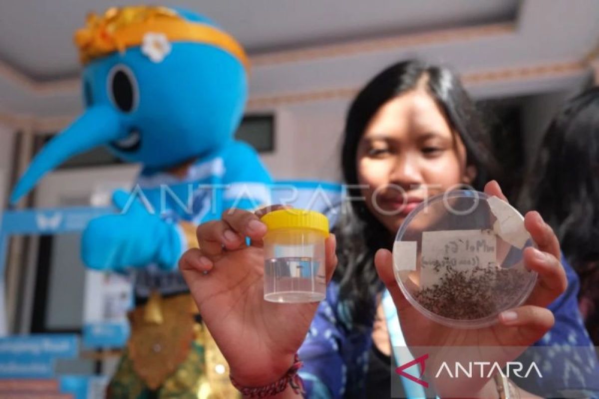 Petugas kesehatan sedang memberikan edukasi pencegahan DBD kepada warga di salah satu sudut kota di Kalimantan Timur. Upaya vaksinasi dan partisipasi masyarakat menjadi kunci menekan kasus.