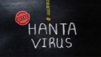 Kapal pesiar MV Hondius berlabuh di pelabuhan, Spanyol, setelah seorang penumpang meninggal dunia akibat hantavirus di atas kapal.
