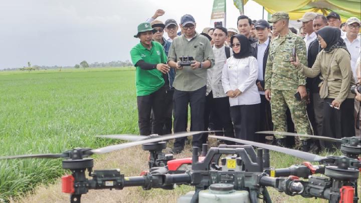 Ilustrasi petani Lampung sedang meninjau hasil panen mereka, simbol optimisme terhadap program modernisasi dan hilirisasi pertanian daerah.