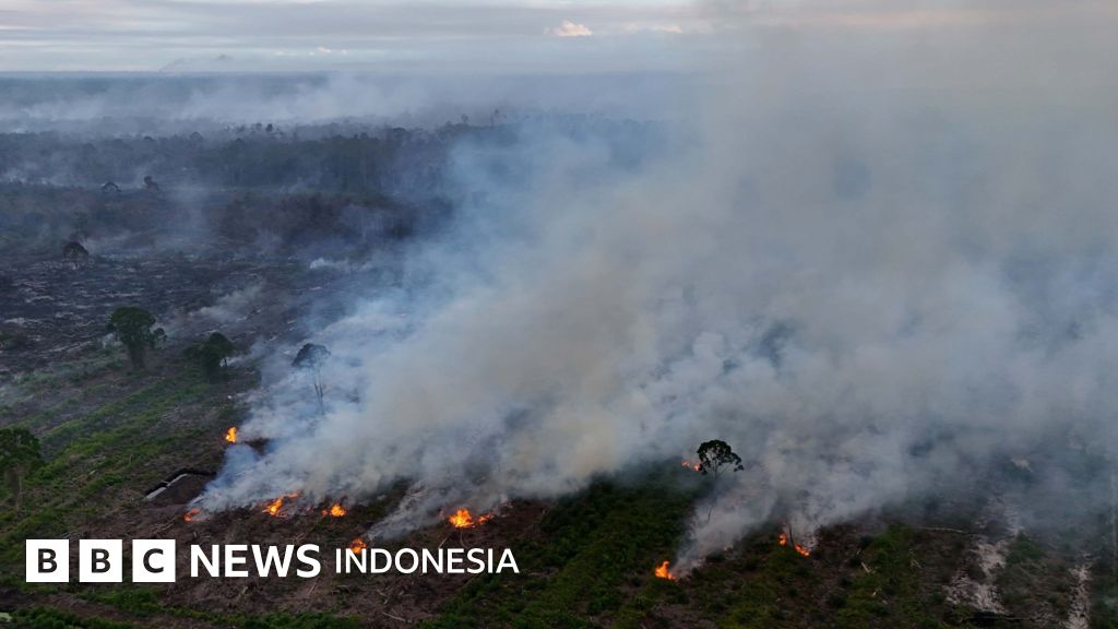 Tim gabungan berjibaku memadamkan api yang melahap hutan dan lahan di Nagan Raya, Aceh, di tengah cuaca panas ekstrem dan angin kencang.