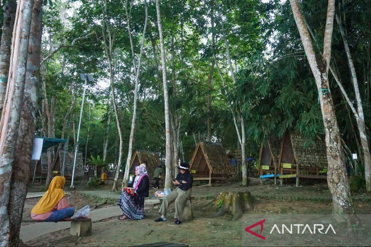 Aktivitas masyarakat lokal di kawasan hutan Kalimantan Timur yang mendukung ekonomi hijau dan konservasi.