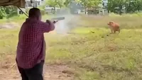 Menteri Besar Kedah, Muhammad Sanusi Md Nor, menjadi sorotan setelah video dirinya menembak sapi kurban viral di media sosial.