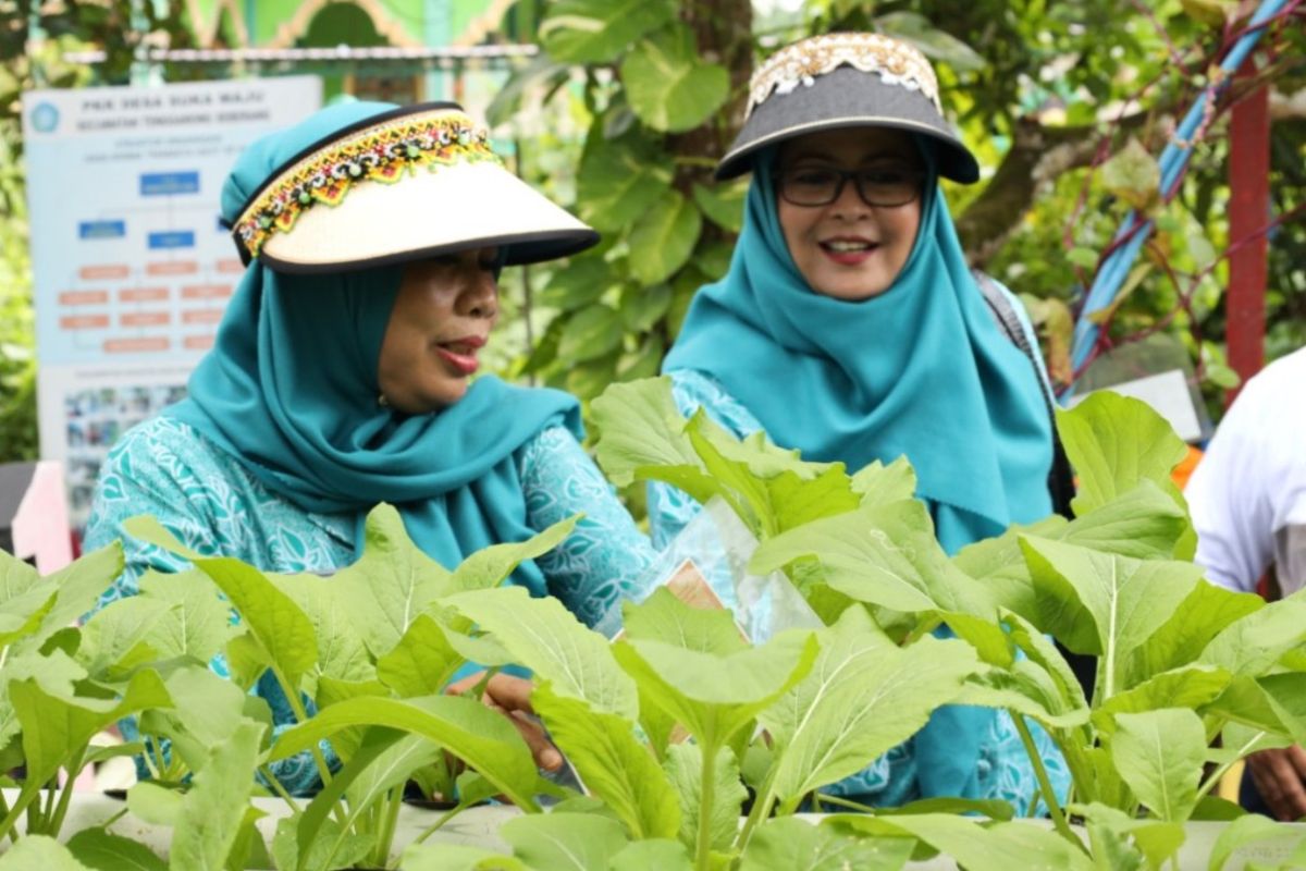 Anggota Tim Penggerak PKK Kutai Kartanegara menunjukkan hasil inovasi ketahanan pangan di tingkat keluarga, sebuah upaya strategis menuju kemandirian pangan dan pemberdayaan masyarakat.