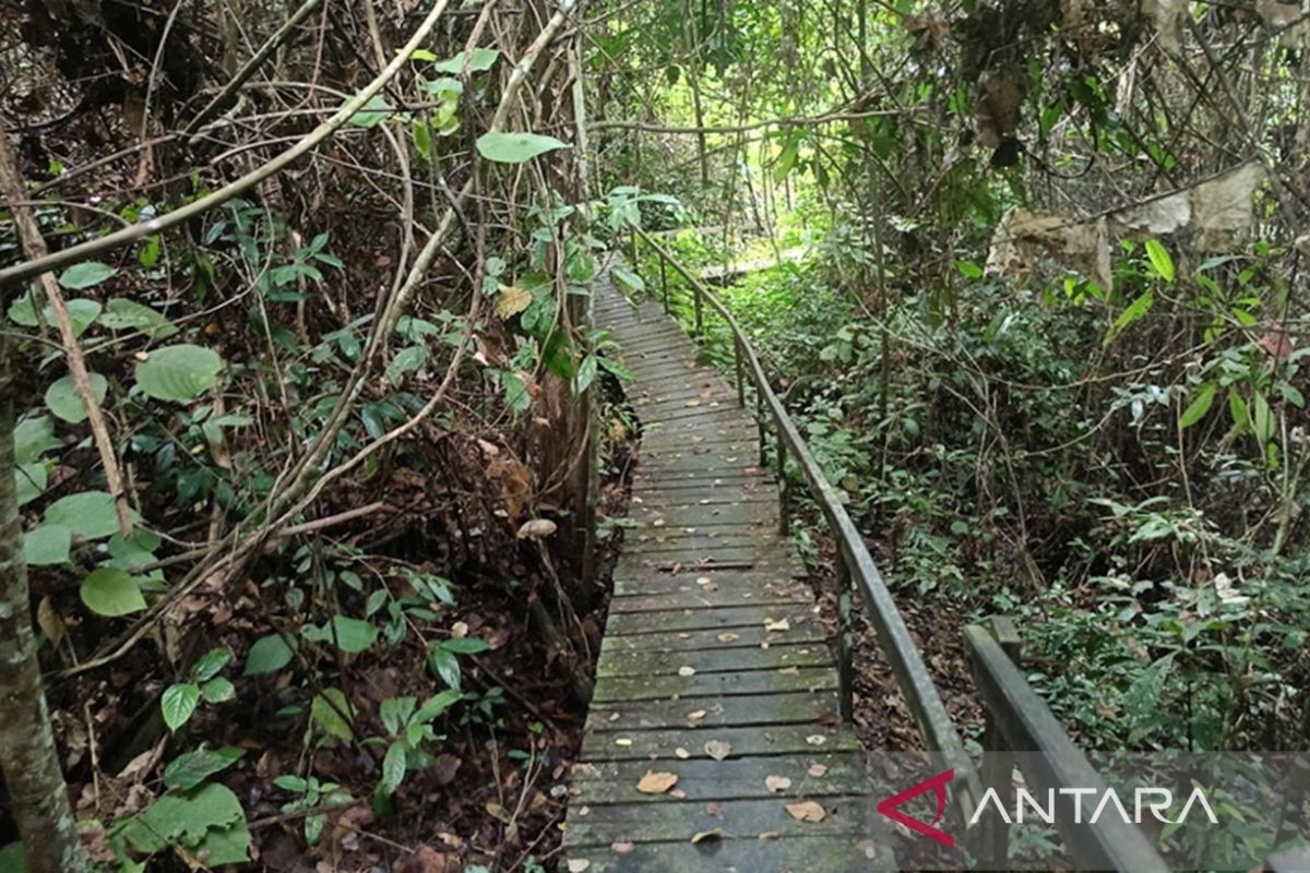 taman-nasional-kutai
