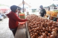 Aktivitas penjualan telur ayam di salah satu pasar tradisional Jakarta, Sabtu (18/7/2026). Kementerian Pertanian resmi menetapkan harga acuan telur ayam ras di tingkat peternak sebesar Rp24.000 per kilogram, berlaku mulai 15 Juli 2026, dalam upaya menstabilkan harga dan melindungi peternak.