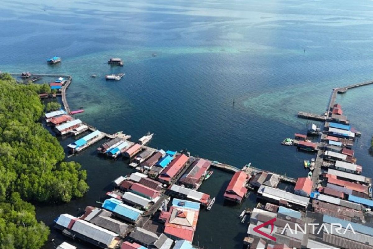 Keindahan bawah laut dengan keberadaan hiu paus, menjadi daya tarik utama ekowisata di perairan Pulau Miang, Kabupaten Kutai Timur, Kalimantan Timur.