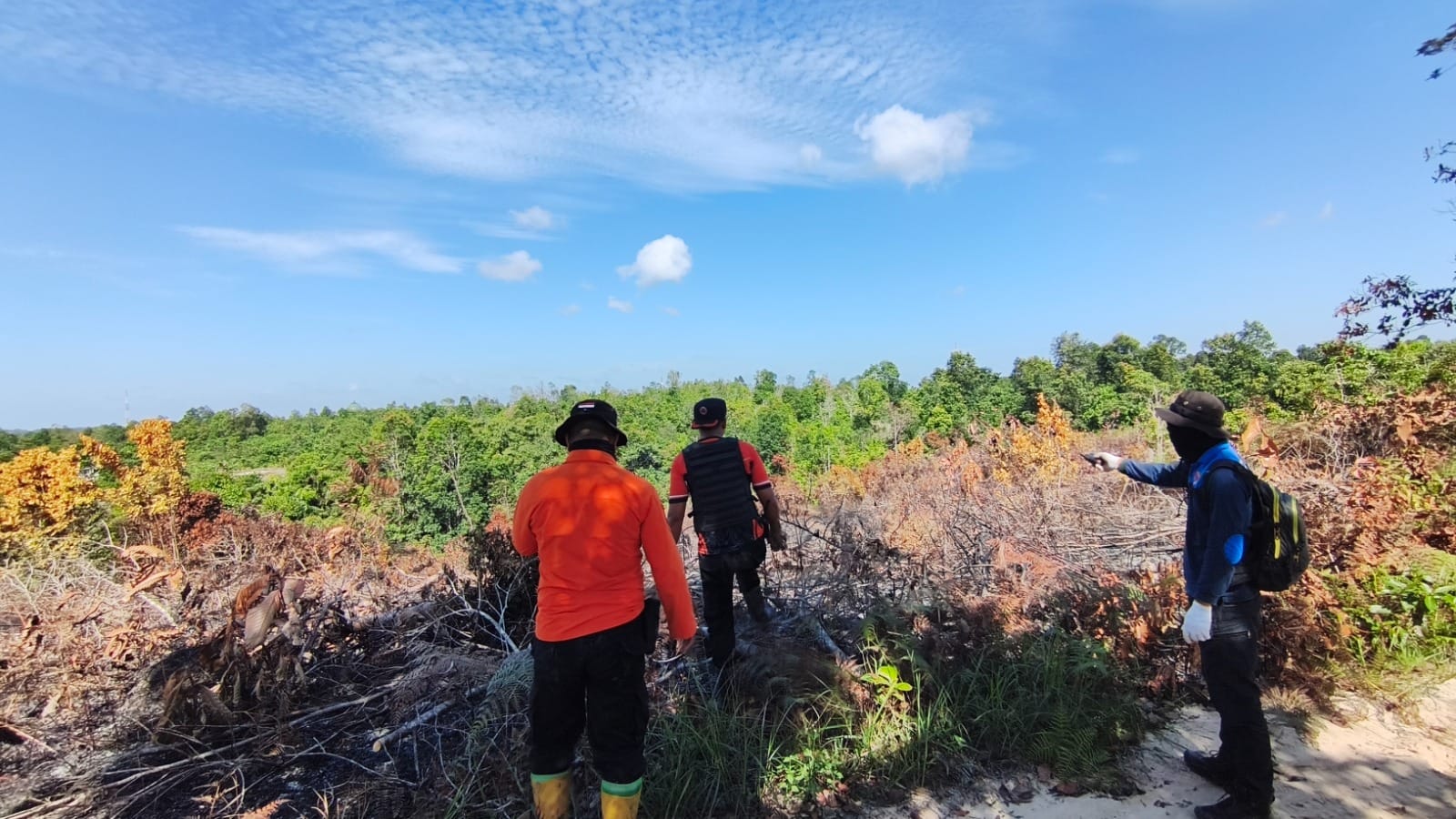 Petugas Badan Penanggulangan Bencana Daerah (BPBD) Penajam Paser Utara memeriksa lokasi yang terdeteksi hotspot, menemukan sisa-sisa pembakaran lahan ilegal untuk pembukaan kebun atau pertanian.