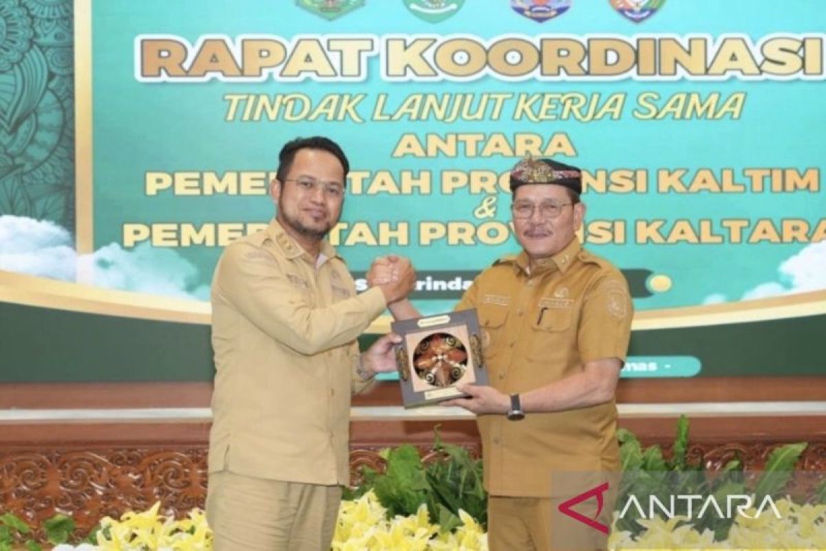 Ilustrasi Peta Kalimantan menunjukkan wilayah perbatasan antara Kalimantan Timur dan Kalimantan Utara yang menjadi fokus pembangunan infrastruktur.