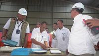 Direktur Utama BULOG, Ahmad Rizal, meninjau langsung gudang penyimpanan beras di Papua untuk memastikan kualitas dan ketersediaan stok pangan.