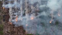 Petugas gabungan memadamkan api karhutla di lahan gambut Sumatera Selatan. BPBD Sumsel mencatat 306 kejadian hingga Juli 2024, dengan PALI sebagai daerah paling terdampak.
