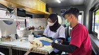 Lima unit Mobil Klinik Hewan Keliling siap beroperasi di lima wilayah kota DKI Jakarta untuk melayani kesehatan hewan peliharaan.
