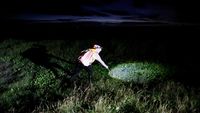 Upaya konservasi di Taiwan berhasil melindungi ribuan kepiting darat saat musim kawin melalui penutupan jalan dan jembatan bambu, berkontribusi pada peningkatan populasi.