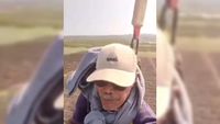 Drone pertanian modern beraksi di lahan sawah, membantu proses pengangkutan bibit dan pupuk, menunjukkan adaptasi teknologi oleh petani di Tuban.