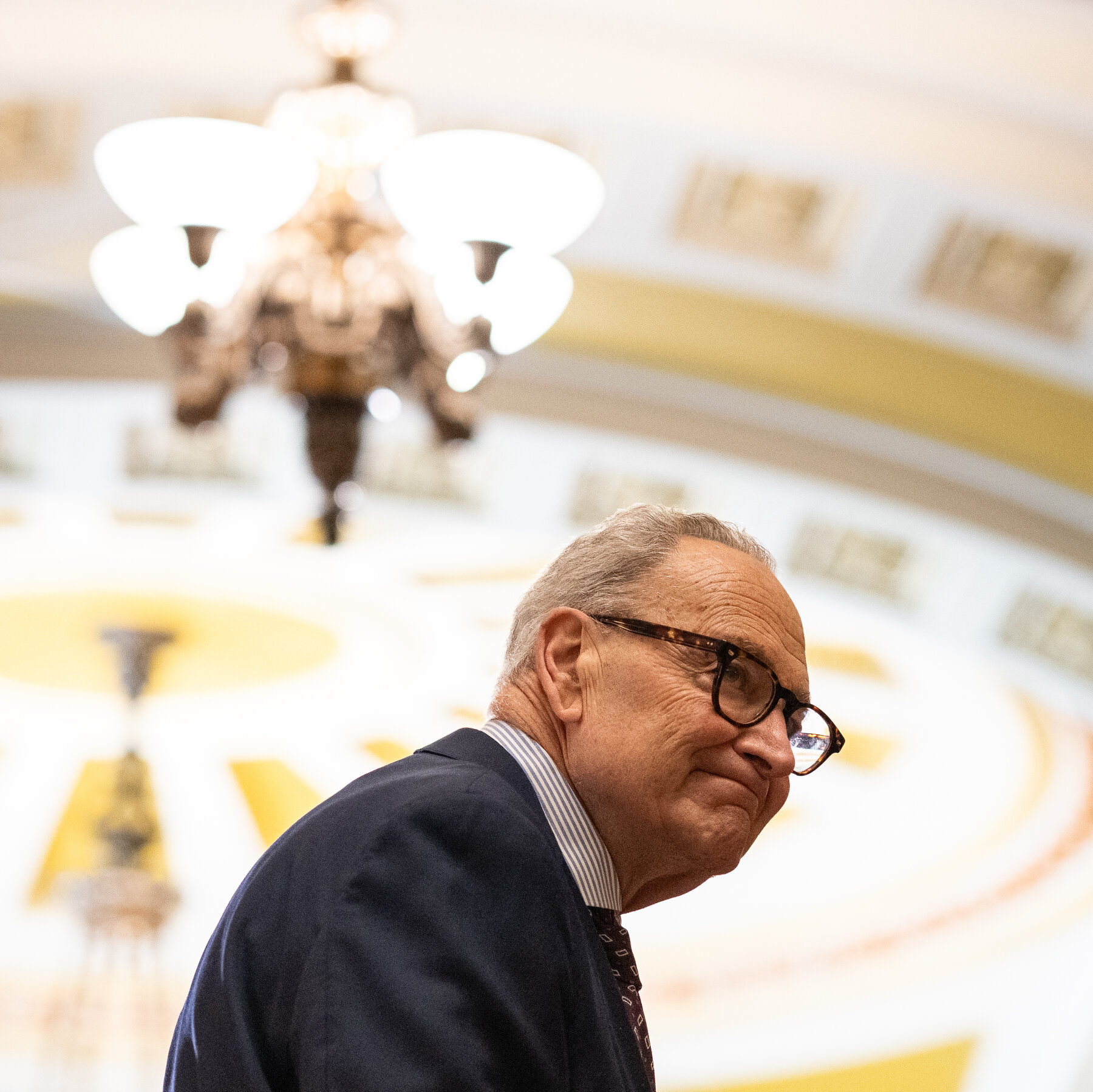 Pemimpin Mayoritas Senat AS, Chuck Schumer, berupaya menyatukan faksi-faksi dalam Partai Demokrat jelang pemilu penting yang bisa menentukan kendali Senat.