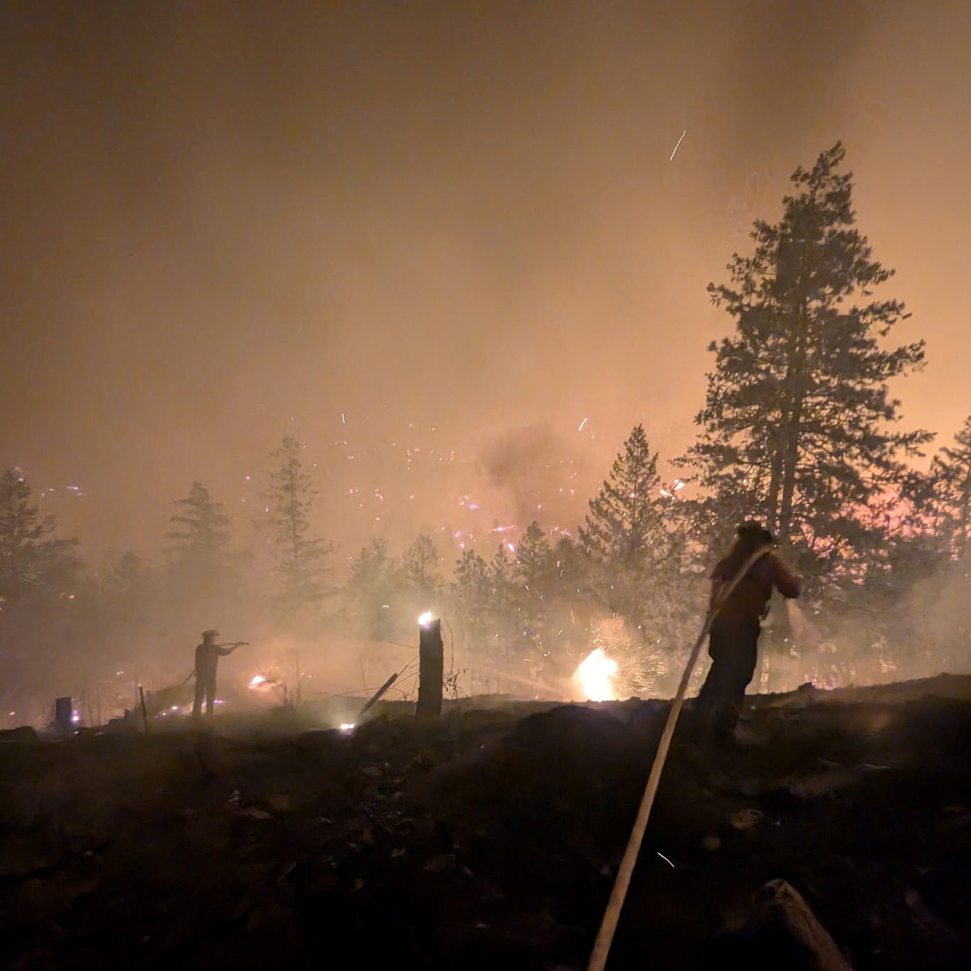 Asap tebal membubung tinggi dari hutan yang terbakar di British Columbia, Kanada, menandakan krisis lingkungan yang memaksa ribuan warga mengungsi dari rumah mereka.