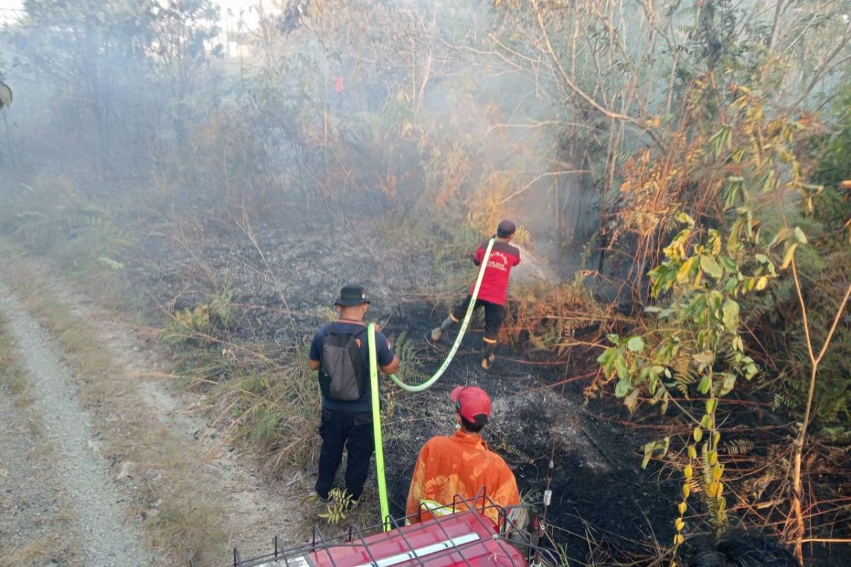 Anggota Komisi VIII DPR RI Hetifah Sjaifudian saat menyuarakan pentingnya mitigasi karhutla di Kalimantan demi keselamatan semua.
