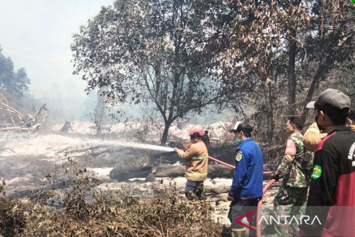 Petugas gabungan berjibaku memadamkan api yang membakar kawasan hutan konservasi di Kalimantan Timur.