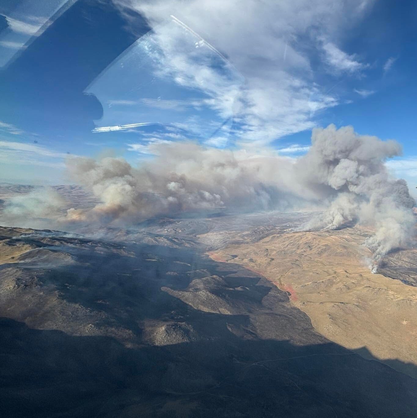 Petugas pemadam kebakaran berjuang memadamkan api di hutan Nevada. Insiden kebakaran hutan seringkali diperparah oleh kondisi iklim kering dan tindakan pembakaran yang disengaja, seperti yang diduga terjadi pada 'Bug Fire'.
