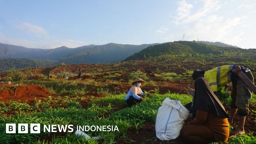 Para petani Laoli yang menjadi korban penggusuran paksa, kehilangan mata pencarian dan tempat tinggal mereka akibat proyek strategis nasional.