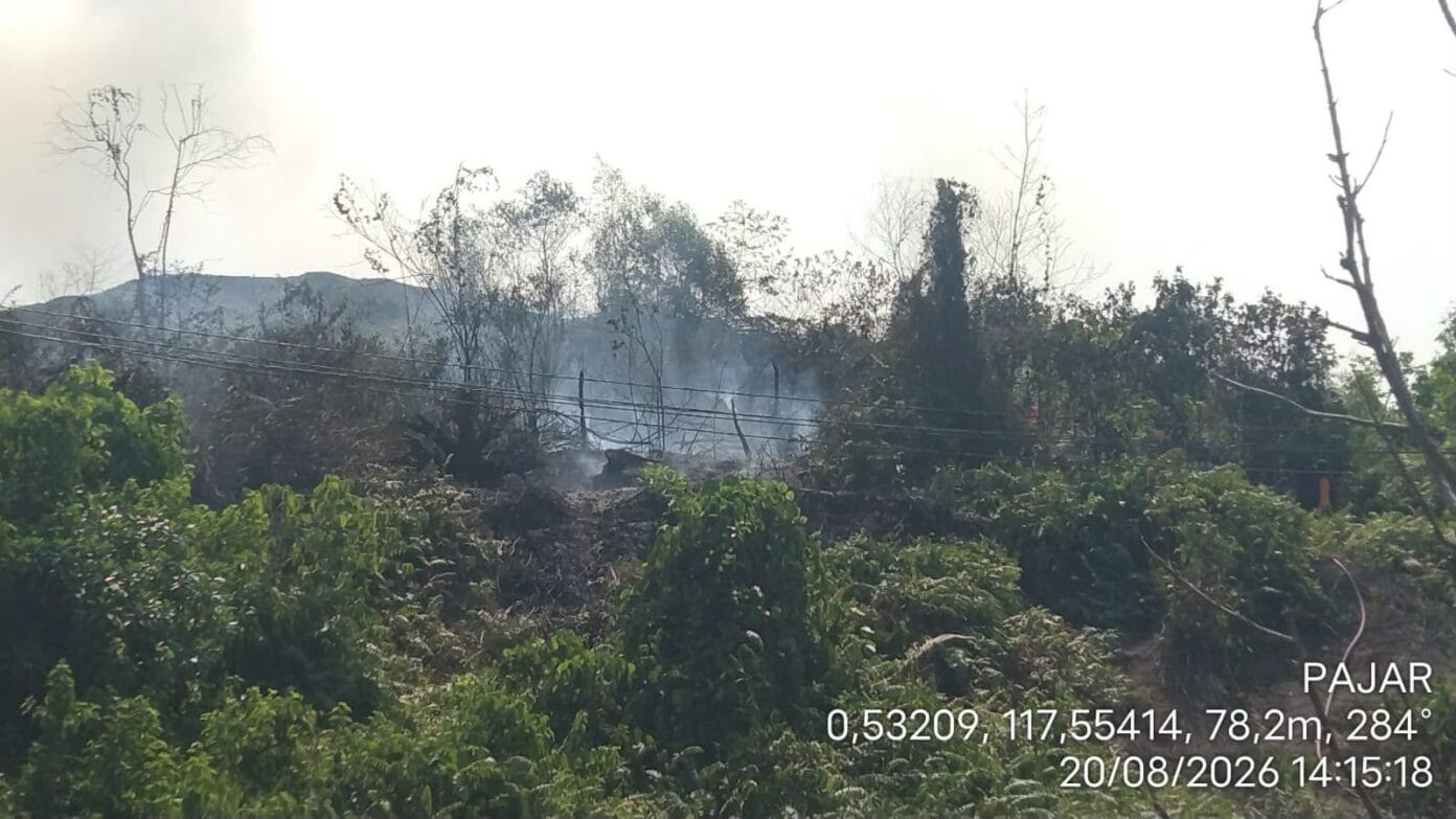 Api membakar lahan kering di kawasan Kenyamukan, Sangatta Utara, Kutai Timur, saat musim kemarau panjang. (Ilustrasi)