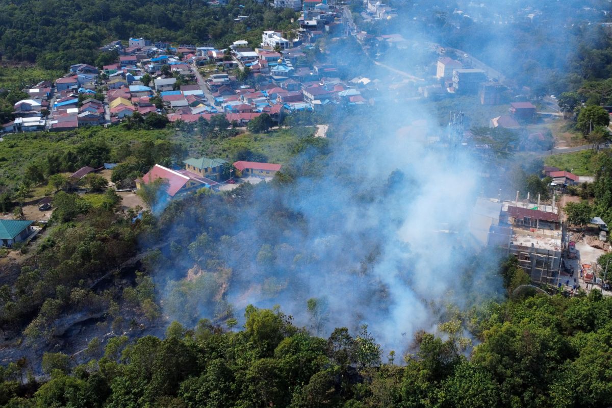 Petugas gabungan berjibaku memadamkan api yang melalap lahan di Balikpapan, Kalimantan Timur, pada Rabu siang (24/7). Kebakaran ini menghanguskan sekitar dua hektare area dan masih dalam penyelidikan pihak kepolisian. ANTARA FOTO/Angga Palguna