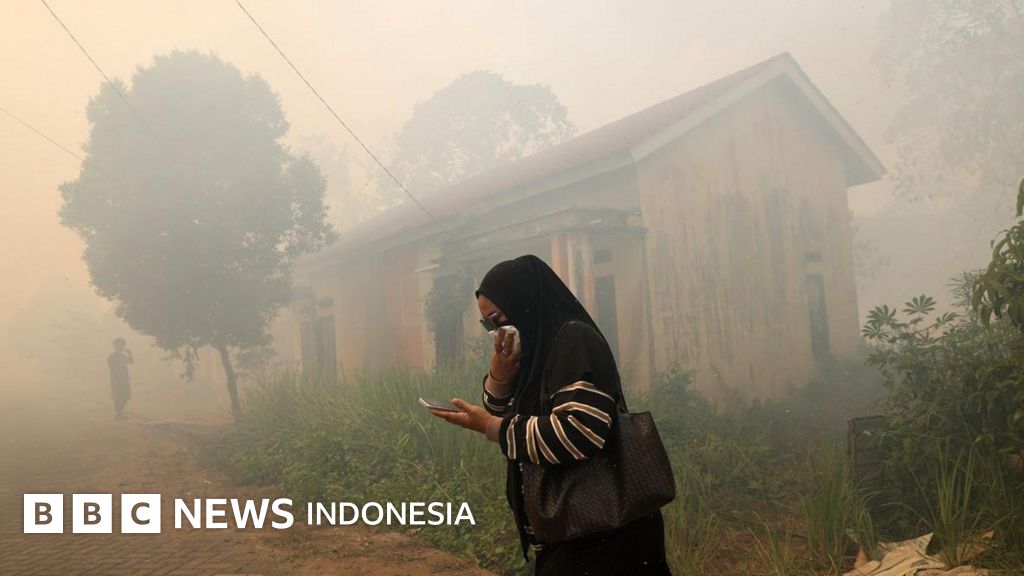 Petugas pemadam berjuang melawan kobaran api di lahan gambut Kalimantan yang diduga milik korporasi.