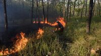 Petugas gabungan dari BPBD, TNI, Polri, dan relawan berjibaku memadamkan api Karhutla yang melanda lahan di Bangka Tengah, menunjukkan tantangan berat di musim kemarau ekstrem.