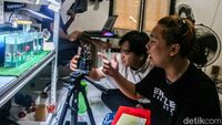 Seorang pedagang ikan cupang berinteraksi dengan calon pembeli melalui siaran langsung (live streaming) di media sosial, menunjukkan ikan-ikan hias dagangannya.