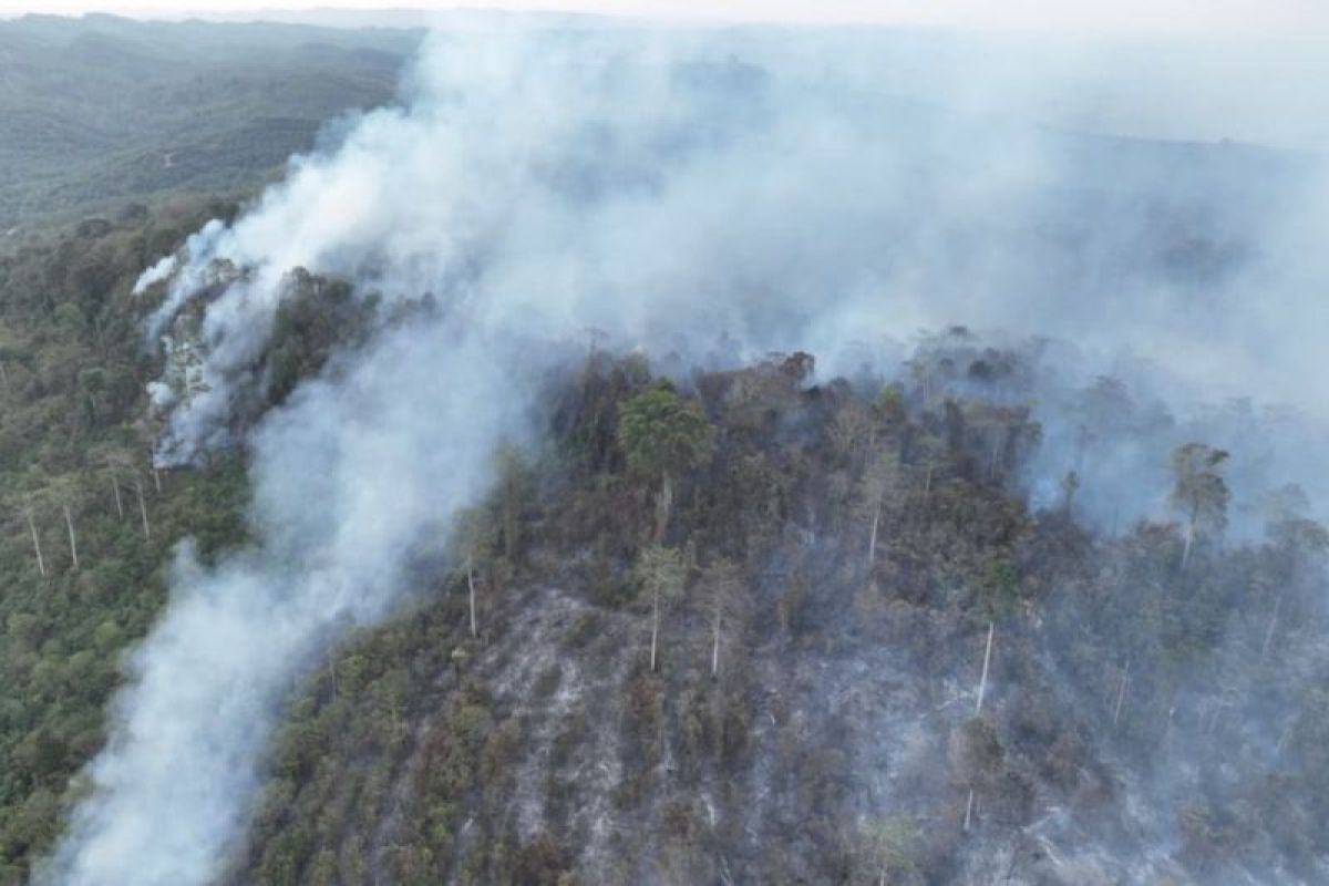 Tim gabungan dari BPBD PPU, TNI, Polri, dan Manggala Agni berjuang memadamkan karhutla di Gunung Tingkat, Sepaku, Kalimantan Timur.