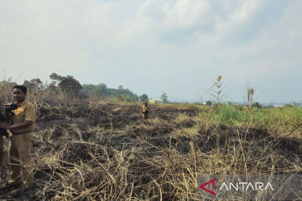 Tim gabungan BPBD, TNI, Polri, dan relawan berjibaku memadamkan api di kawasan Karhutla Betapus.