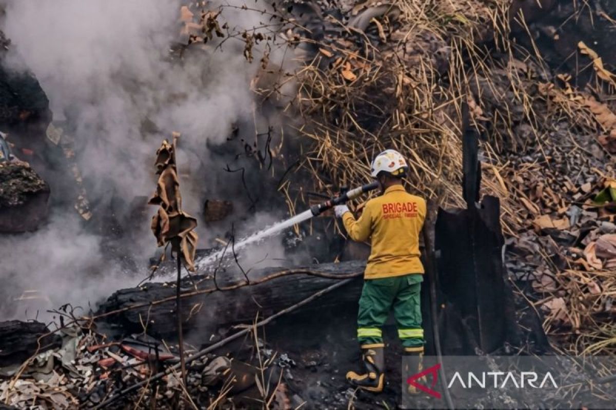 Petugas gabungan berjibaku memadamkan titik api di area yang terdampak karhutla di Kabupaten Berau, Kalimantan Timur.