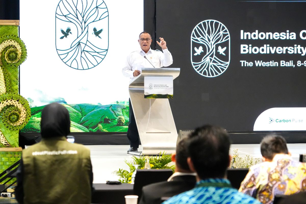 Menteri Lingkungan Hidup Moh Jumhur Hidayat saat menyampaikan pentingnya implementasi aksi iklim nyata dalam pengembangan pasar karbon nasional dan global.