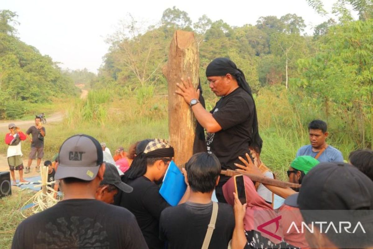 Masyarakat Adat Dayak Basap melakukan ritual adat di hutan mereka, menegaskan komitmen menjaga kelestarian lingkungan dan wilayah adat di Kutai Timur.