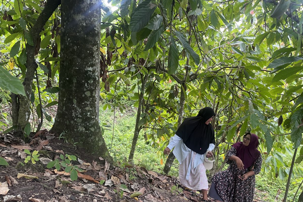 Warga Beutong Ateuh, Aceh, menyampaikan penolakan terhadap rencana pertambangan di wilayah mereka, khawatir akan dampak lingkungan pascabanjir bandang dan potensi deforestasi.