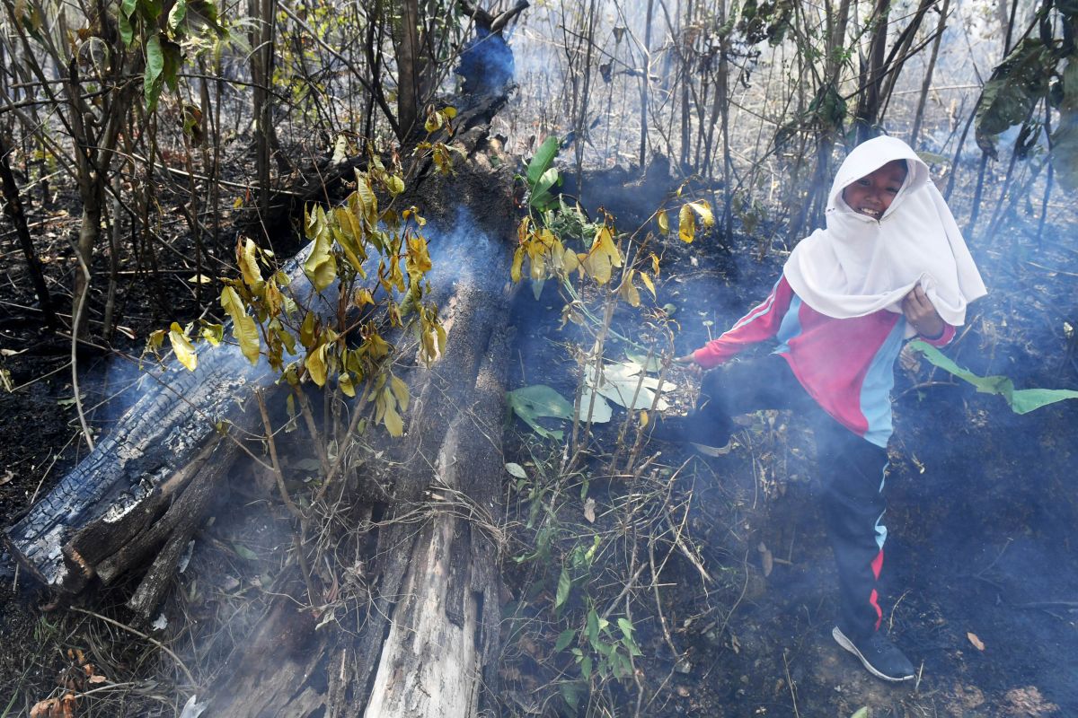 Kebakaran-lahan-di-kariangau-030926-AP-5