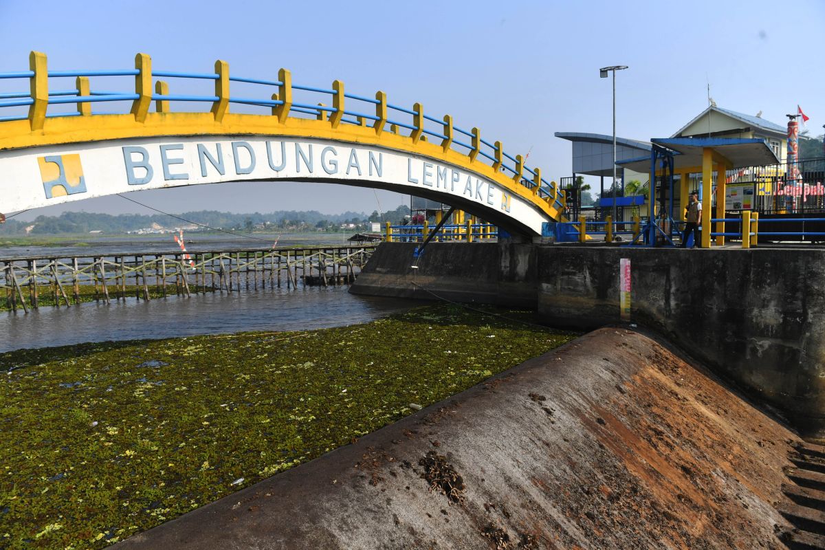 Debit air Waduk Benanga di Samarinda terus menyusut drastis, mengancam pasokan irigasi vital bagi pertanian lokal.