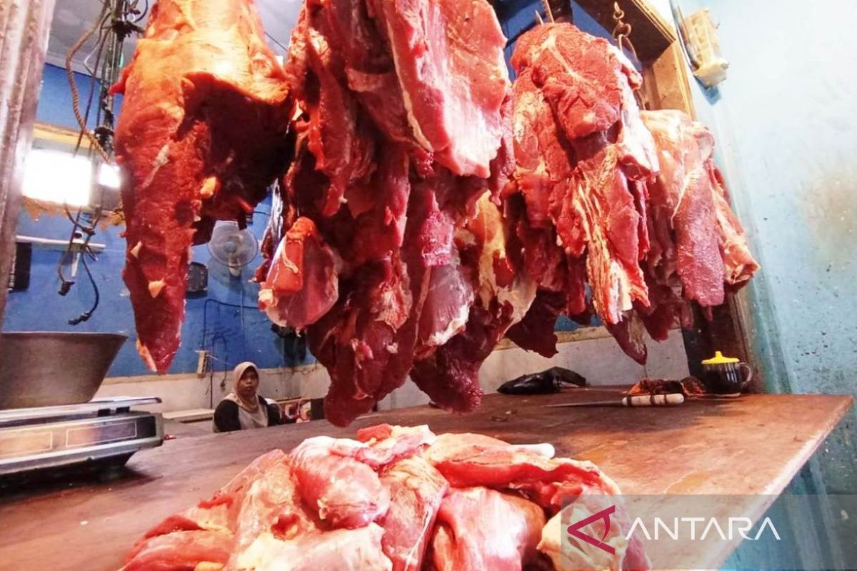 Petani tengah memanen cabai di ladangnya, salah satu komoditas yang mendongkrak nilai tukar petani (NTP) di Kalimantan Timur.