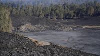 Asap tebal membumbung tinggi dari titik api di kawasan Savana Pengol, Taman Nasional Bromo Tengger Semeru, saat upaya pemadaman berlangsung.