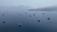 Kapal-kapal Angkatan Laut Iran berpatroli di perairan strategis yang membentang dari Teluk Persia hingga Laut Arab, area yang kini mencakup zona terlarang baru.