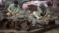 Tim peneliti dengan hati-hati melakukan penggalian di situs penemuan fosil dinosaurus, Kawasan Timur Laut Thailand, mengungkap jejak kehidupan raksasa purba yang terkubur jutaan tahun.