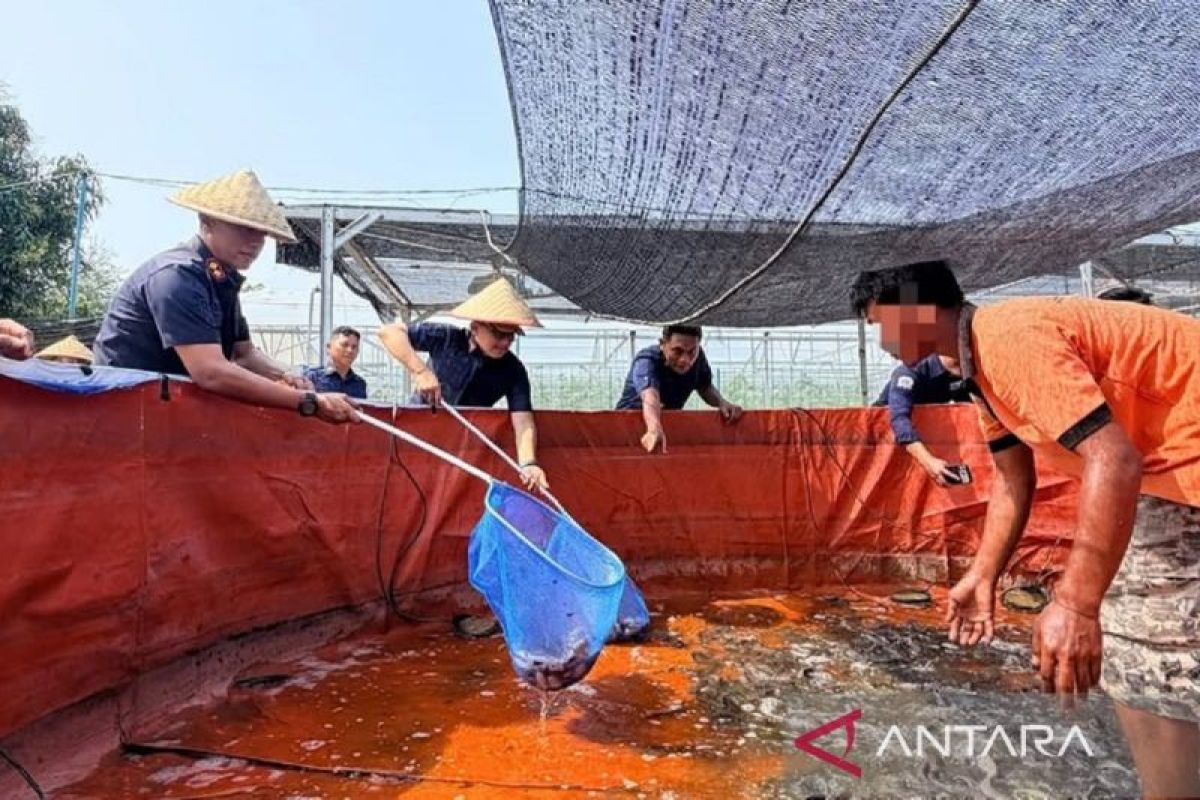 Warga Binaan Pemasyarakatan (WBP) mengikuti pelatihan praktik perkebunan sebagai bagian dari program vokasi di lingkungan pemasyarakatan Kalimantan Timur.