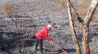 Petugas gabungan berjibaku memadamkan api yang melahap kawasan hutan di Taman Nasional Gunung Rinjani, menghadapi medan yang terjal dan sulit dijangkau.